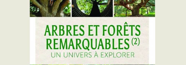 Une soirée pour découvrir les arbres remarquables !