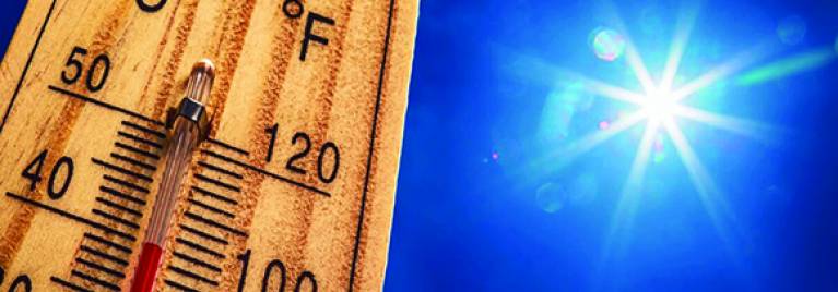 INFORMATION CANICULE - ECOLES