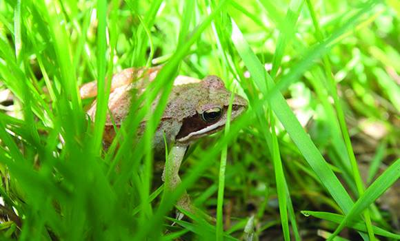 Partons à la découverte de la biodiversité automnale !