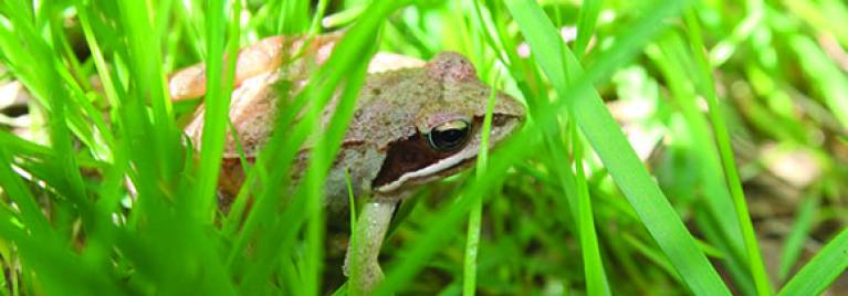 Partons à la découverte de la biodiversité automnale !