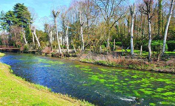 Réunion publique sur l'entretien du plan vert